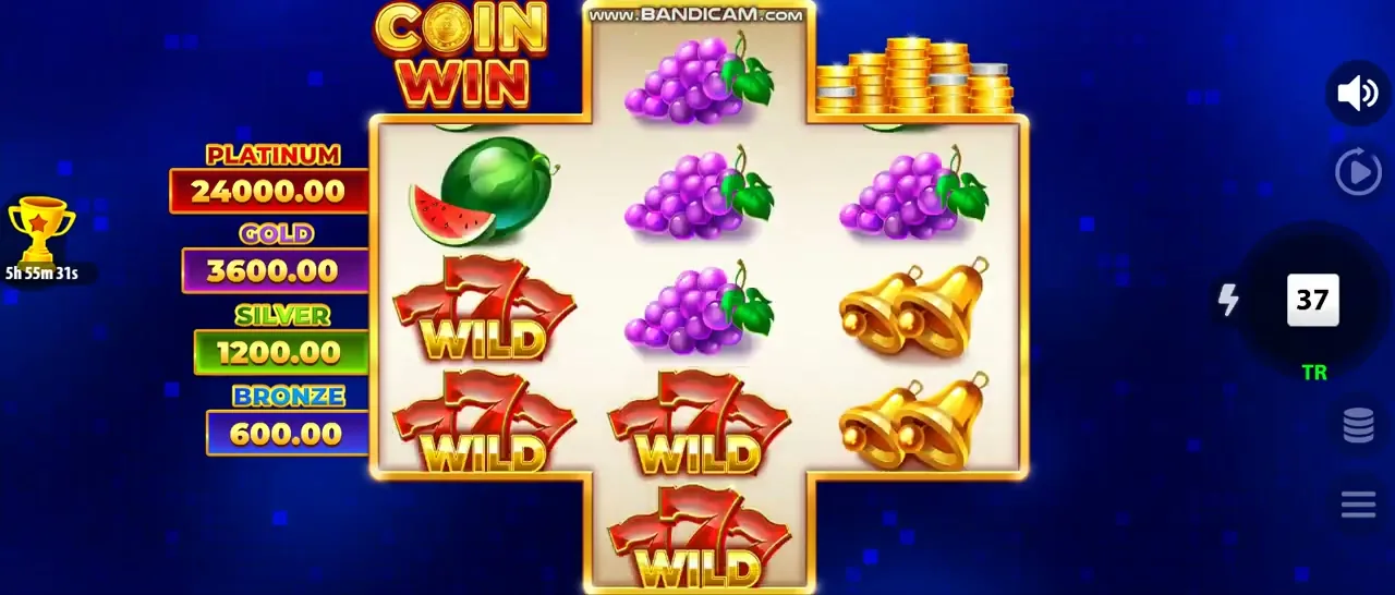 Coin Win: Hold The Spin — Paysafecard