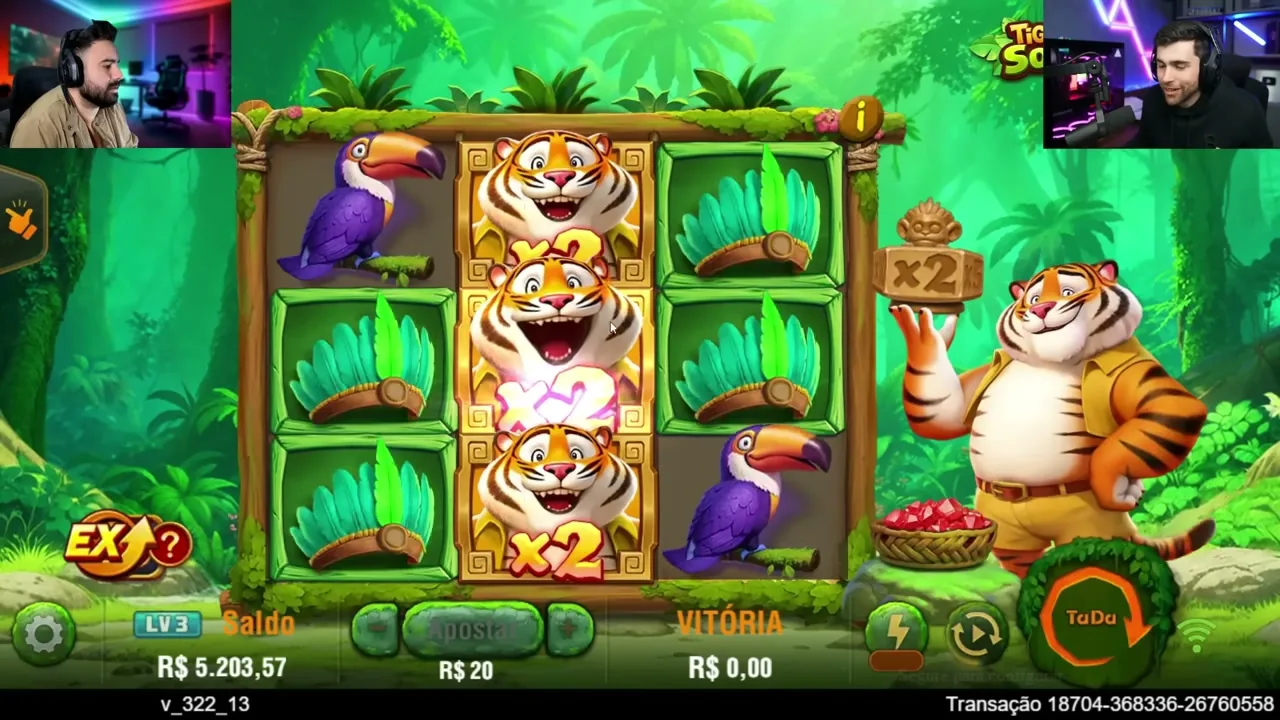 Luck of Tiger — Paysafecard